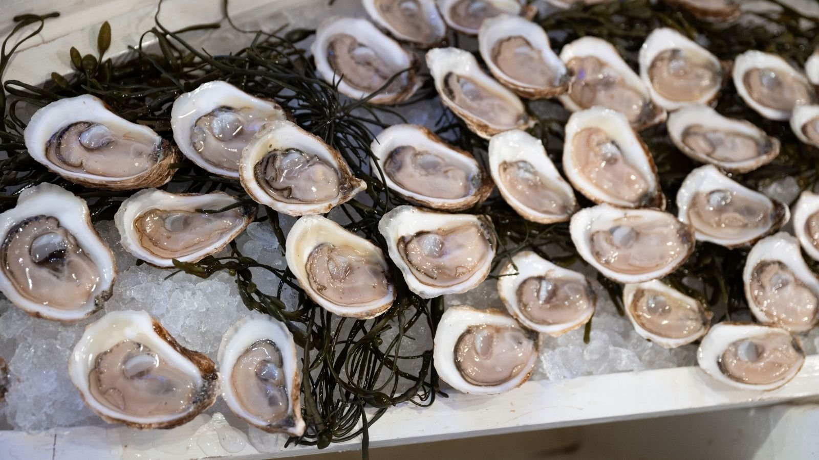 OAO_2025_Symposium_Day2_18